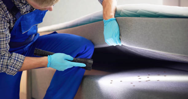 Best Best Pest Control Companies  in West Babylon, NY