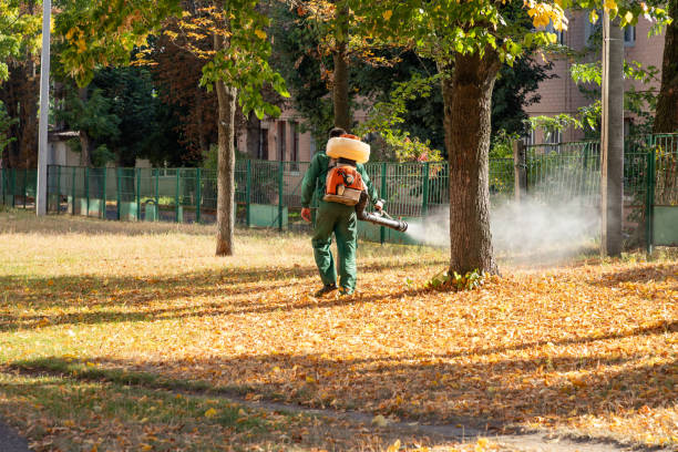 Best Termite Control Services  in West Babylon, NY