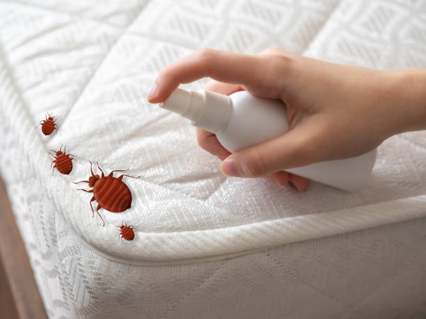 Best Pest Prevention Services  in West Babylon, NY